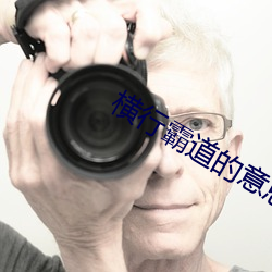 横行霸道的意思