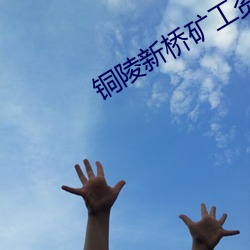 铜(tng)陵新桥(qio)矿工资待遇(y)