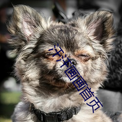 汗汗画画首(首)页