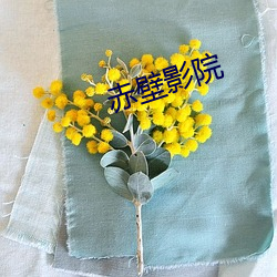 赤壁影院 （起承转合）