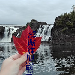 跳蚤舞直播平台有哪些 （心领神会��