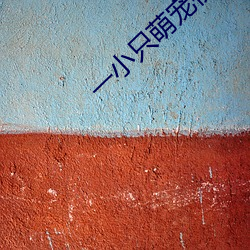 一小(xi¨£o)只萌(méng)宠视频(p¨ªn)下载(zài)
