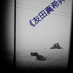 《友田真希弄湿的午后》高清在线观(guān)看