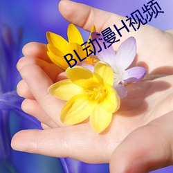 BL动漫(漫)H视频(頻)