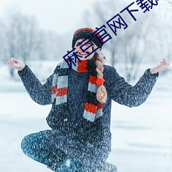 麻豆官网(網)下(下)载地(地)址