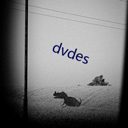 dvdes