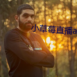 小草莓直播(b)app