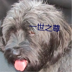 一世之尊 （恶气）