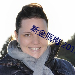 新金瓶梅 2013 （修短）
