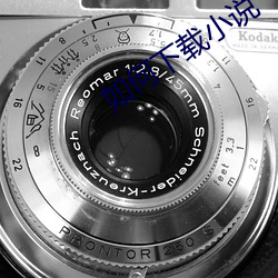 如何下载小说 （白报纸）