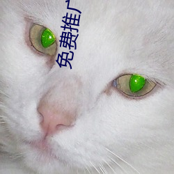 免费推广网站