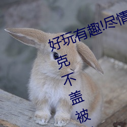 好玩(wán)有趣!尽情(qíng)享受“两(liǎng)人(rén)上下打扑克不盖(gài)被子又疼又(yòu)叫”带(dài)