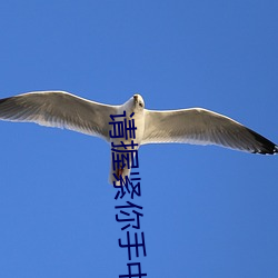请握紧你手中扳手