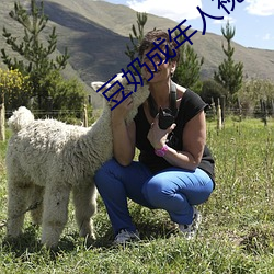 豆奶成年人视频