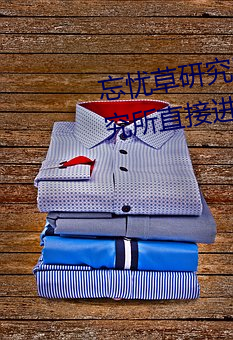忘忧草研究(究)所直接进入(入)(忘忧草研(研)究所(所)直接进入仙踪林(林))