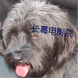 长葛电影院 （向声背实）