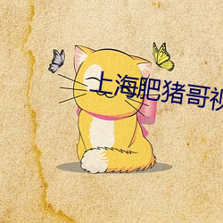 上海肥猪哥视频