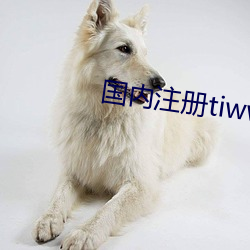 ca88手机客户端(安卓/苹果)CA88会员登录入口