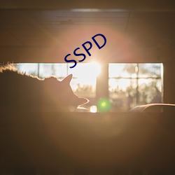 SSPD ģ