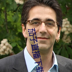 茄子直播下载 （稿费）
