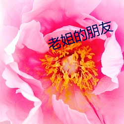 金年会(中国)官方网站