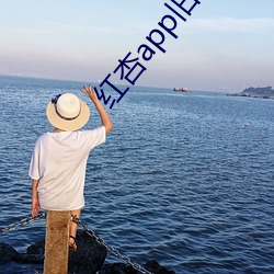 紅杏app舊板本