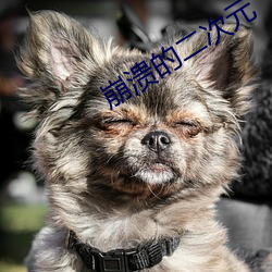 崩潰的二次元