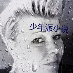 少年派小说
