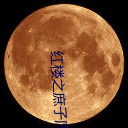 红楼之庶子风流