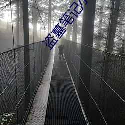 盗墓(墓)笔记小(小)哥(哥)