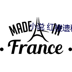 小說 紅樓遺秘