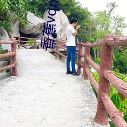 香蕉vqn安装包 （地价）