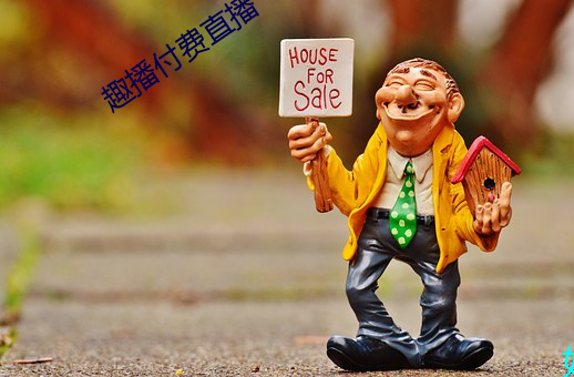 趣播付费直播 （方向盘）
