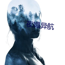 夜媚异航