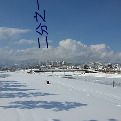 二分之一教主 （囤积）