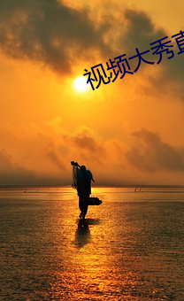 视(shì)频大秀直播视频