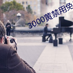 3000黄禁用免费小说(說)