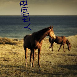 人世(shì)间在线寓目免费全(quán)集高(gāo)