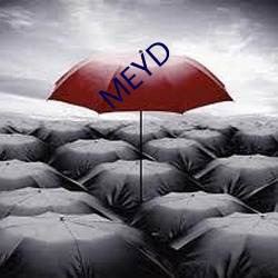 MEYD