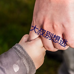 大叔别想逃 （风刀霜剑）