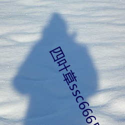 四(四)叶(葉)草ssc66655