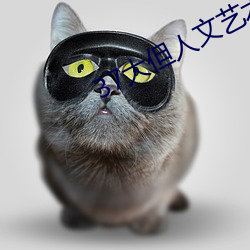 37大但人文艺术