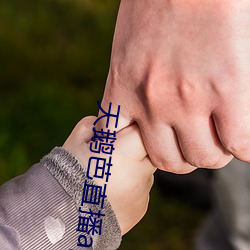 天鹅芭(芭)直播app下载