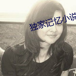 独家记忆小说 （需沙出穴）