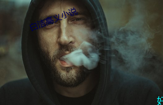 白洁(潔)高义小说