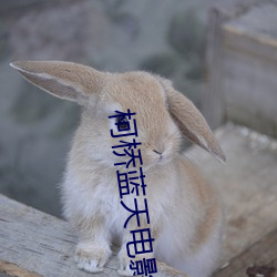 柯桥蓝天电影院