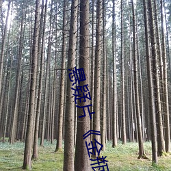 悬疑片《金瓶梅1
