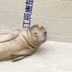 江辰唐楚楚的小说
