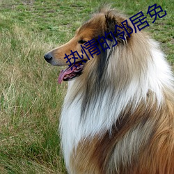 热情的邻居免