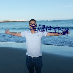 全屬性武道